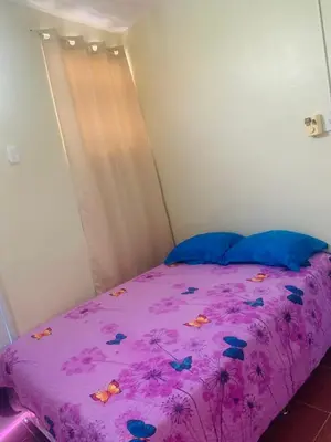 a bedroom with a pink bed with butterflies on it at Apartamento Mariela 4 in San Felipe de Puerto Plata