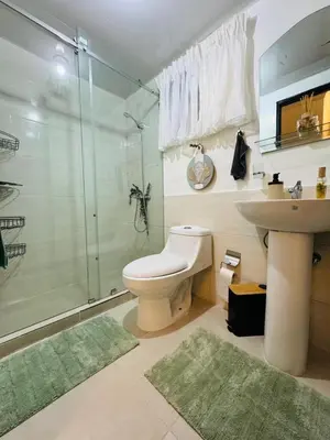a bathroom with a shower and a toilet and a sink at Luxurious and comfortable 1 level in Ensanche Savica de Mendoza
