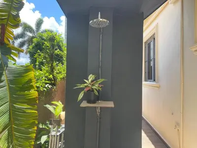 a hallway with a plant sitting on a table at Guest House Canephora in Las Galeras in Las Galeras