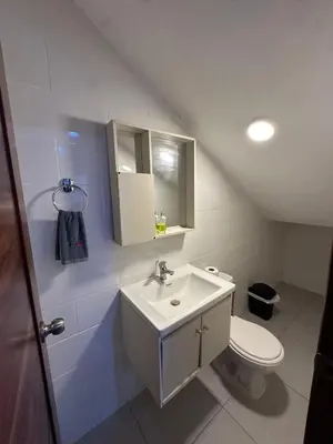 a bathroom with a sink and a toilet at Apartamento en La Romana buena vista norte Jacuzzi in La Romana