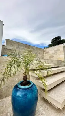 a blue vase with a palm tree in front of a wall at Casa Las Ballenas - 3 bedroom Las Terrenas in Las Terrenas