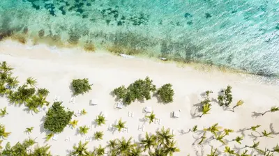 an aerial view of a beach with trees and the ocean at Dominica 203 Luxury Apartment by Caribbean Beach Dominicus Aqua Esmeralda in Bayahibe