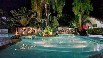 a swimming pool with palm trees in the night at Guest-Room 2 Palmeras - 2 Pax, 5 Min de La Playa in Las Galeras