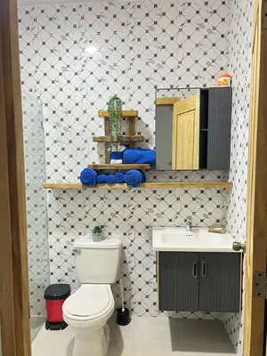a bathroom with a toilet and a sink at Dani's Guesthouse in Las Galeras