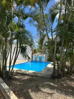 a swimming pool with palm trees around it at Villas Burnette in Camú