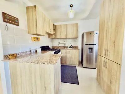 a kitchen with wooden cabinets and a stainless steel refrigerator at Apartment 3 rooms terrace Wi-Fi Distrito Naciona in Pantoja