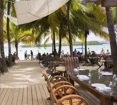 a restaurant on the beach with palm trees at WRparaiso in Boca Chica