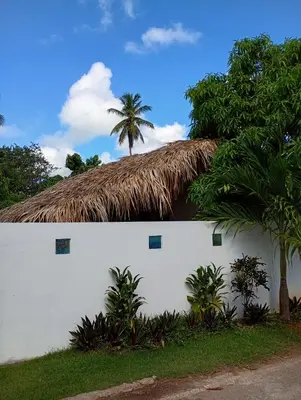 a white building with a thatched roof and a palm tree at Quédate Aquí También in Las Galeras