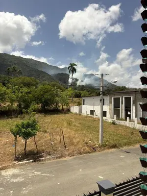 a house on the side of a road with a palm tree at Villa Sol Odalis in Jarabacoa