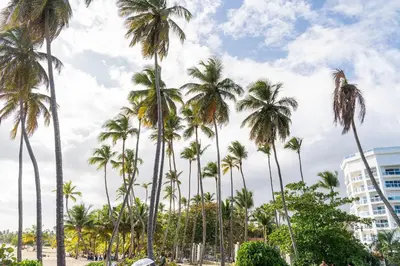 a group of palm trees in front of a building at Resort Villas | 2 hab con piscina y playa in Juan Dolio