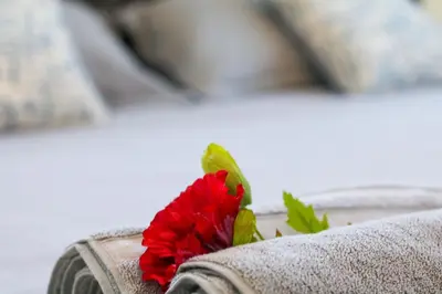 a red flower sitting on the back of a couch at Edificio Amber in San Cristóbal