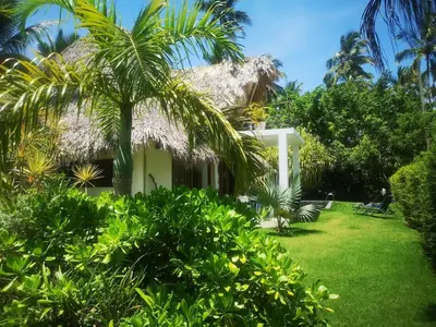 a white house with a palm tree in the yard at Beautiful Caribbean Villa Coson Beach in Las Terrenas