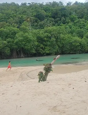 a child running on a beach with a plant in the sand at Las Amapolas, Saman typical houses in Las Galeras