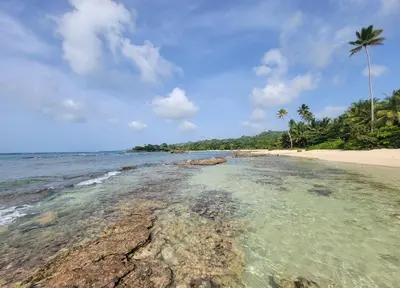 an empty beach with palm trees and the ocean at Las Amapolas, Saman typical houses in Las Galeras