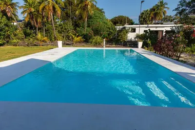 a large blue swimming pool with palm trees and a house at LAS PALMAS 2 VILLA 20 personnes pool in Palmar de Ocoa