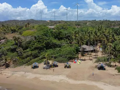 a group of people sitting on a beach with palm trees at Playa Rene RD in San Felipe de Puerto Plata