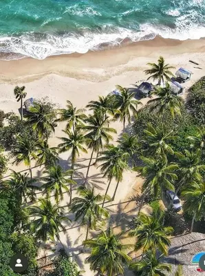 an aerial view of a beach with palm trees at Playa Rene RD in San Felipe de Puerto Plata