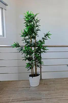 a plant in a white pot sitting on a floor at Maple Beach Residences Punta Cana in Punta Cana
