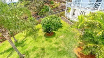 an aerial view of a yard with palm trees at Casa Las Piedras in Las Terrenas