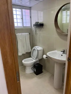 a bathroom with a toilet and a sink and a mirror at Luxurious and cozy apartment in San Luis