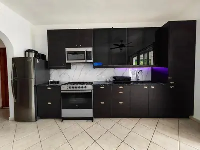 a kitchen with black cabinets and stainless steel appliances at Apartman Tamarindo in La Laguna