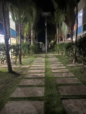 a walkway in front of a building with palm trees at Jolie condo in Boca Chica
