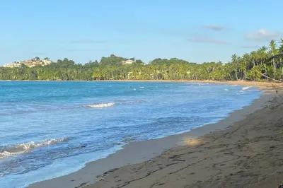 a beach with the ocean and trees in the background at Bonita Beach Villa in Las Terrenas