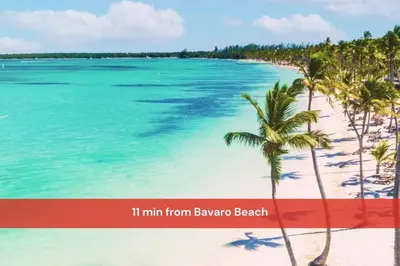 a view of a beach with palm trees and the ocean at Luxury Villa with Private Pool in Punta Cana in Punta Cana
