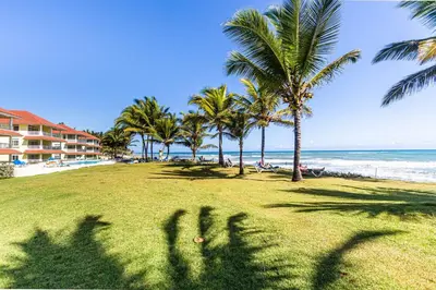 a group of palm trees on a beach with the ocean at Ocean front, direct access to the beach in Cabarete