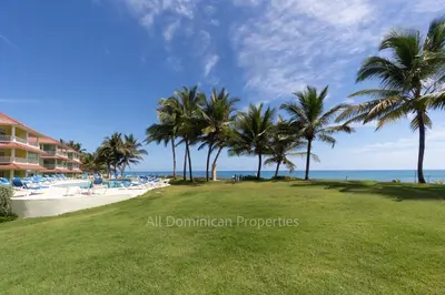 a view of a beach with palm trees and the ocean at Ocean front, direct access to the beach in Cabarete
