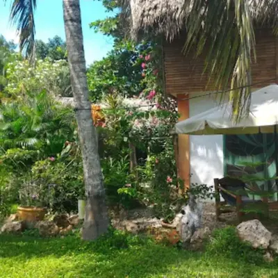 Studio surrounded by nature