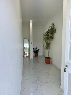 a hallway with a mirror and potted plants at Nashaly suite in Arroyo El Cabo