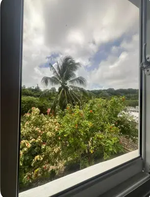 a view of a palm tree from a window at Apartamento Luna Llena in Colorado