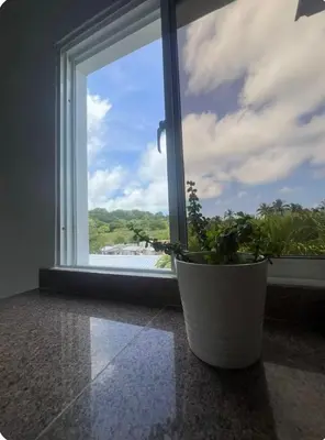 a potted plant sitting in front of a window at Apartamento Luna Llena in Colorado