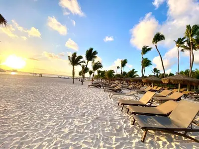 a row of lounge chairs on a beach with palm trees at Vista del Sol Pool and Beach los Corales Rd in Punta Cana