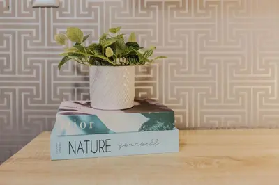 a plant sitting on top of a stack of books at Chic Elegant City Center Condo in Santo Domingo