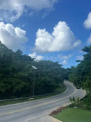 an empty road with trees on both sides of it at apartamento exclusivo con jacuzzi, piscina y vista al lago in Las Terrenas