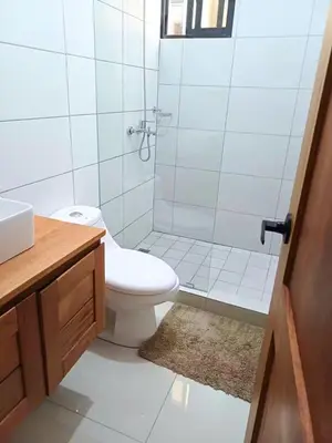 a bathroom with a shower and a toilet and a sink at Sunrise Apartments in San Felipe de Puerto Plata
