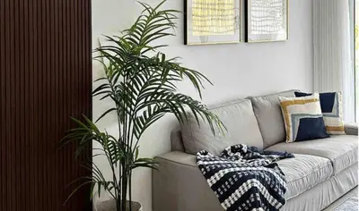 a living room with a couch and a plant at Relax in Style at Hard Rock Hotel Punta Cana Apartment in Punta Cana