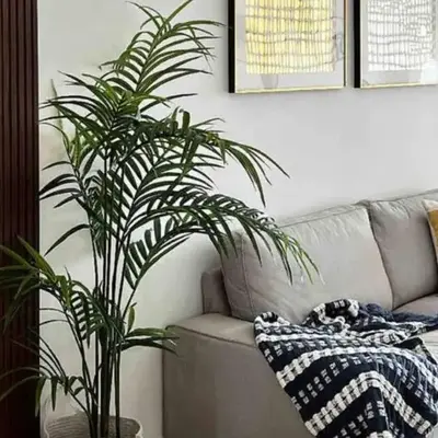 Relax in Style at Hard Rock Hotel Punta Cana Apartment