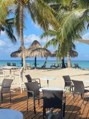 a sandy beach with tables and chairs and palm trees at Loft short walk to the beach and restaurant in La Fragata