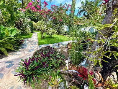 a garden with flowers and plants on a path at Lux Garden Loft close to Beach, Kite-school in Cabarete