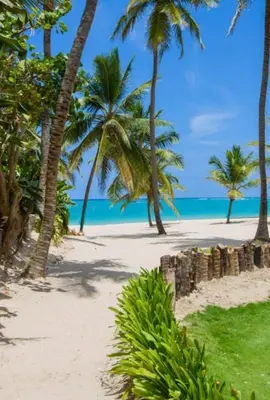 a beach with palm trees and the ocean at Swim-Up Paradise, AirBB for more info in Punta Cana