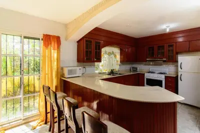 a kitchen with wooden cabinets and a white refrigerator at The Three Sisters Villa in Puerto Plata