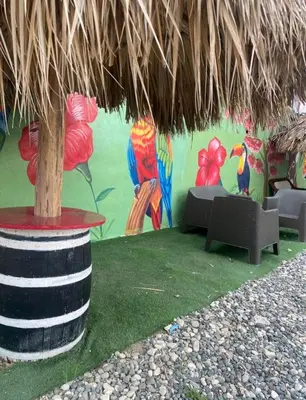 a wall with a painting of birds on it at Apartamento de recreación vista al mar in Boca Chica