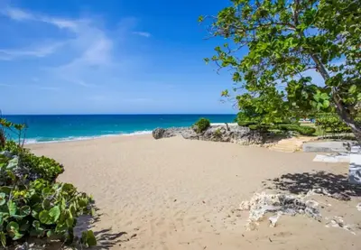 a beach with trees and the ocean in the background at Laguna Park Apartments in Sosúa