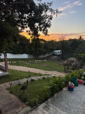 a bird standing in a yard with the sunset in the background at Rancho paraíso escondido in San Pedro de Macorís