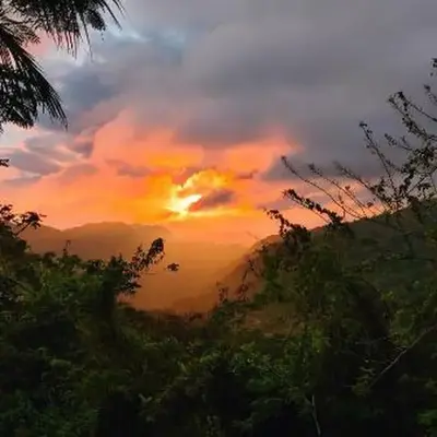 Montaña viva
