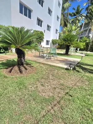a palm tree in a park next to a building at Beautiful 2 bedroom apartment on the beach in Punta Cana