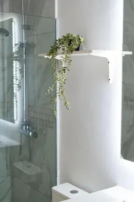 a plant on top of a toilet in a bathroom at Directo piscina jardín terraza @ Cana Rock in Punta Cana